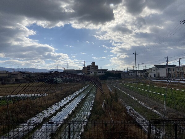 カリーノＲフィーネの物件内観写真